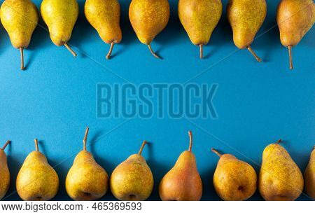 Yellow Pears On A Blue Background. Fruit Harvest. Autumn Still Life. Pear Variety Bera Conference. V