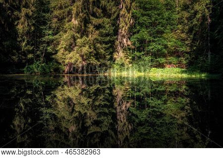 Beautiful Reflection Of Coniferous And Deciduous Trees On The Quiet Water Surface Of A Lake In Pictu