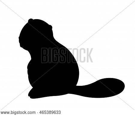 Dark Silhouette Of Beaver. Forest Dweller, Fauna And Biology, Wild Life. Poster Or Banner For Websit