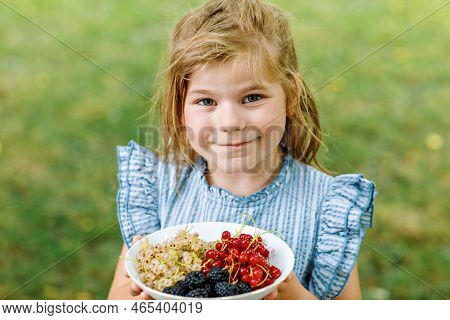 Little Girl Holdig Red Currants, White Currants And Blackberries In A Bowl In Sunny Summer Garden. H