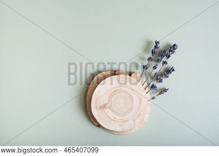 Wooden Slice As Podium Or Pedrstal Top View, Flat Lay On Colored Background With Nature Decoration.