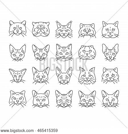 Cat Cute Pet Animal Kitten Funny Icons Set Vector. Kitty Happy Character, Face Portrait, Fun Silhoue