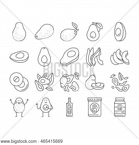 Avocado Food Green Half Icons Set Vector. Vegetable Slice Fresh, Healthy Organic Seed, Tropical Cut 