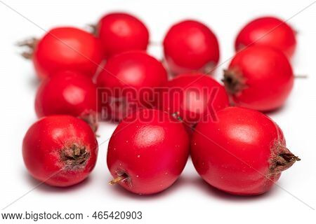 Hawthorn Or Common Hawthorn Or Crataegus Monogyna Berries Isolated On White Background.