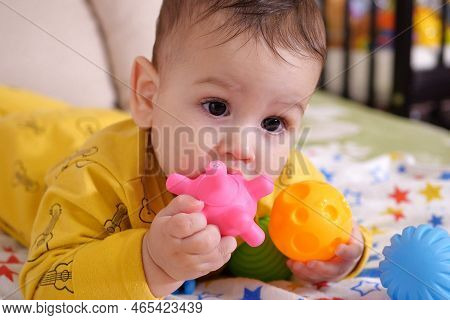 Cute Adorable Newborn Baby Playing With Colorful Rattle Toy. Baby With Teether. Six Months Old Lovel