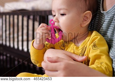 Cute Adorable Newborn Baby Playing With Colorful Rattle Toy. Baby With Teether. Six Months Old Lovel