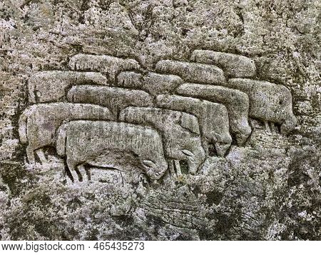 The Image Of Sheep Is Carved On The Stone. Fine Art, Stone Carving. Drawing On The Rock - Sheep In T