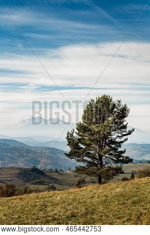 Mountain Scenery With Green Pastures And Rocky Tatra Mountains In The Background During The Day.