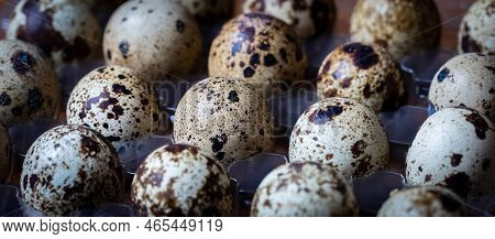 Quail Eggs Photographed Close-up In A Dark Key Side View