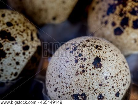 Quail Eggs Photographed Close-up In A Dark Key Side View