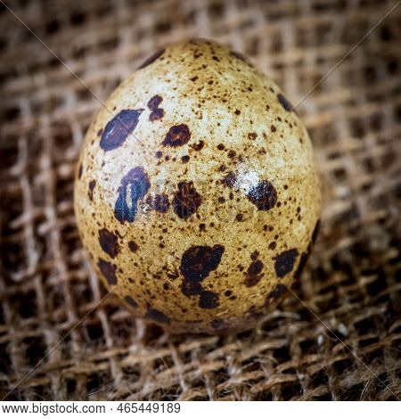 Quail Eggs Photographed Close-up In A Dark Key Side View