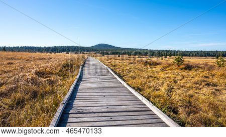 Wooden Path In Bozi Dar Peat Bog Nature Reservation On Sunny Autumn Day. Ore Mountains, Czech: Krusn