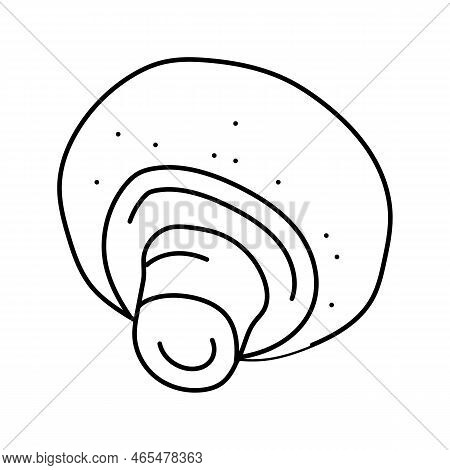 Champignon Fungi Mushroom Line Icon Vector. Champignon Fungi Mushroom Sign. Isolated Contour Symbol 