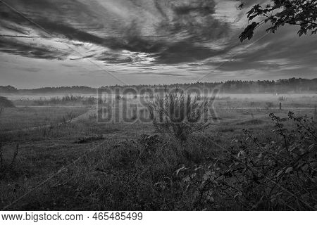 Fore Land Shot In Black And White With Fog On Grass And Heather In Denmark, In Front Of Dunes. Trees