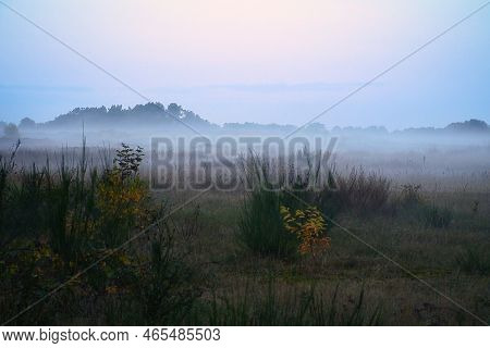 Fore Land With Fog On Grass And Heather In Denmark, In Front Of Dunes. Trees And Clouds In Mystical 