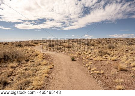 Tawa Trail Heading Uphill In Petrified Forest National Park