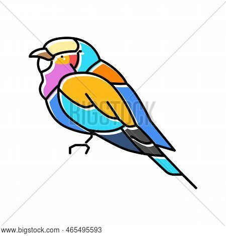 Lilac Breasted Roller Bird Exotic Color Icon Vector. Lilac Breasted Roller Bird Exotic Sign. Isolate