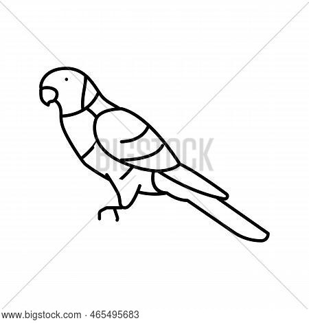 Rainbow Lorikeet Bird Exotic Line Icon Vector. Rainbow Lorikeet Bird Exotic Sign. Isolated Contour S