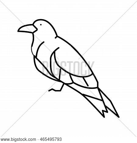 Inca Tern Bird Exotic Line Icon Vector. Inca Tern Bird Exotic Sign. Isolated Contour Symbol Black Il