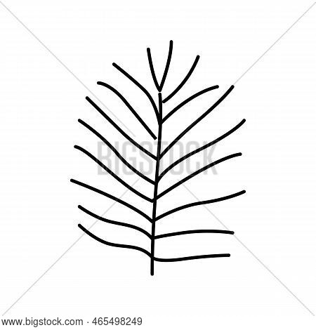 Chamaedorea Tropical Leaf Color Icon Vector. Chamaedorea Tropical Leaf Sign. Isolated Symbol Illustr