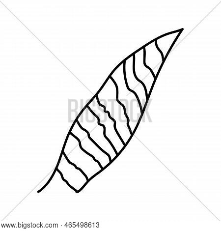 Sansevieria Leaf Tropical Line Icon Vector. Sansevieria Leaf Tropical Sign. Isolated Contour Symbol 