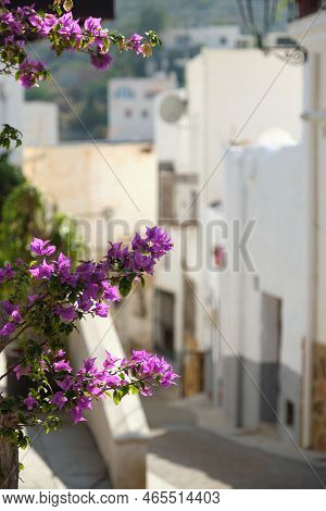 Charming Empty Street Of Mojacar Village With Pretty Violet Flowers On Foreground, Vertical Image. F