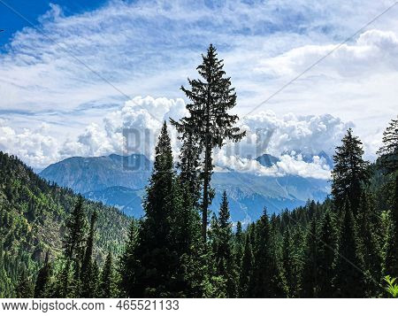 A Selective Focus On Tree At Blur View Of Top Of The Desan Meadows Mountain In Clouds Kalam Valley. 