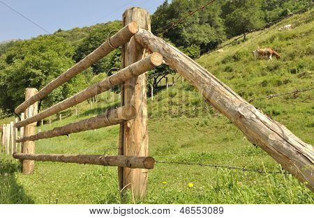 Wooden Fence Of A Meadow