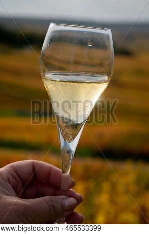 Tasting Of White Brut Champagne Wine Outdoor With View On Colorful Autumn Pinot Noir Grand Cru Viney