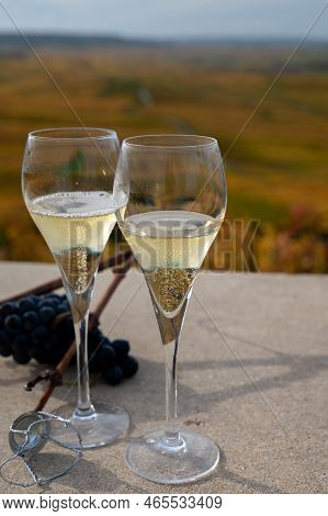 Tasting Of White Brut Champagne Wine Outdoor With View On Colorful Autumn Pinot Noir Grand Cru Viney
