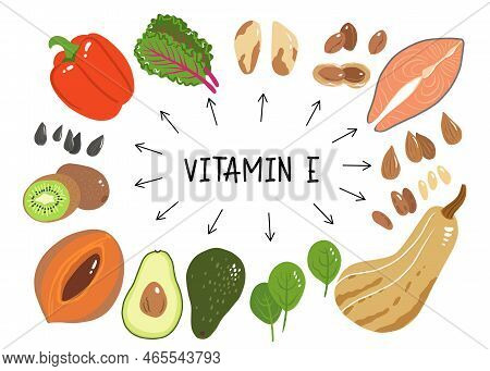 Vitamin E Vector Stock Illustration. Food Products With A High Content Of The Tocopherol. Kiwi, Mame