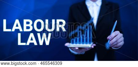 Conceptual Display Labour Law. Business Approach Rules Implemented By The State Between Employers An