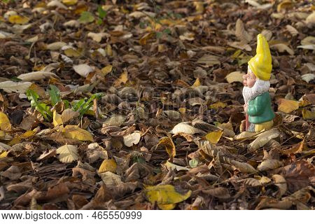 Gnome With Yellow Pointed Hat In Autumn Forest.