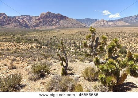 Red Rock Canyon maisema Nevada.