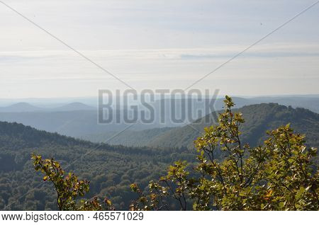 Pfaelzer Wald Palatinate Forest Summer Hills Beauty Background