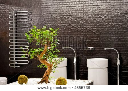 Bagno bonsai