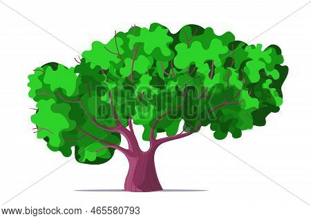 Green Tree With Leaves On A White Background. Plant In Garden. Vector Illustration.