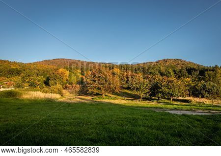 Autumnal Sunset Landscape With Sleza Mountain, Poland. Colorful Foliage On The Trees.
