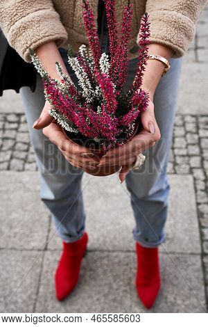 Young Woman Holding A Flower Pot With Blooming Violet Heather Plant In A Street Flower Shop.