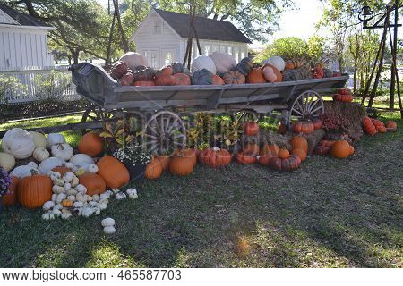 Pumpkins Decoration With The Old Carriage In The Garden Of Old House
