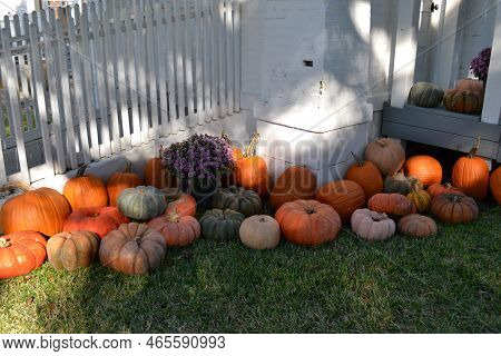 Beautiful Pumpkins Next To Old Farmer House