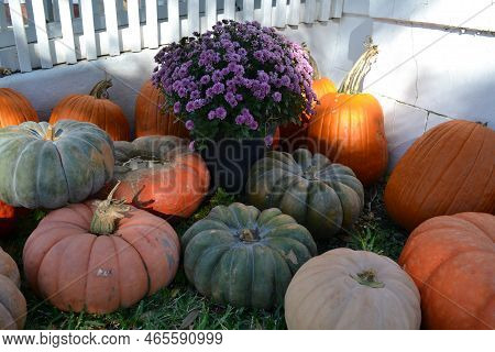 Pumpkins And A Flower Decoration For Halloween