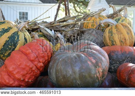 A Stack Of Many Pumpkins Variation In The Cart