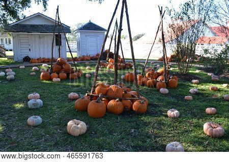 Pumpkins And Sticks Decoration For Halloween Party