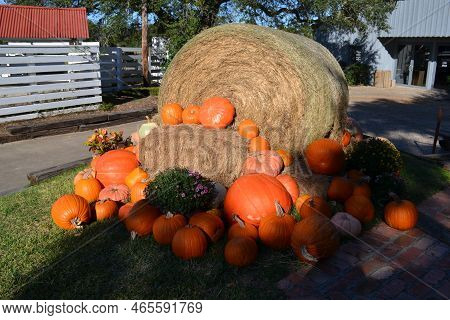 Many Of Pumpkins And A Haystack Autumn Arrangement