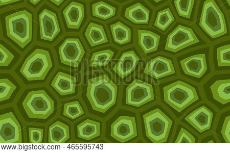 Abstract Modern Turtle Shell Seamless Pattern. Animals Trendy Background. Grren Decorative Vector Il