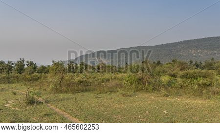 Jungle Landscape By Day. A Path Trodden In The Grass. Thickets Of Bushes And Trees Around. A Mountai