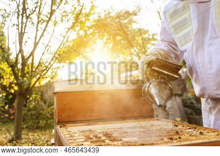 Beekeeper On An Apiary, Beekeeper Is Working With Bees And Beehives On The Apiary, Beekeeping Or Api