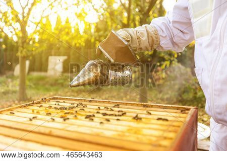 Beekeeper On An Apiary, Beekeeper Is Working With Bees And Beehives On The Apiary, Beekeeping Or Api