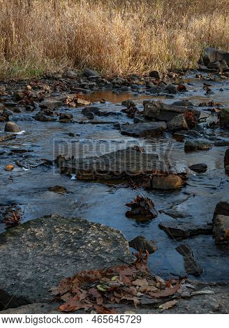 Sawmill Creek Is Surrounded By Autumn Leaves, Grasses And Rocks In Late Autumn, Waterfall Glen Fores